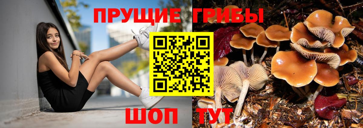 Галлюциногенные грибы Psilocybine cubensis  Вход с VPN  Псилоцибиновые грибы GOLDEN TEACHER  Бирск 