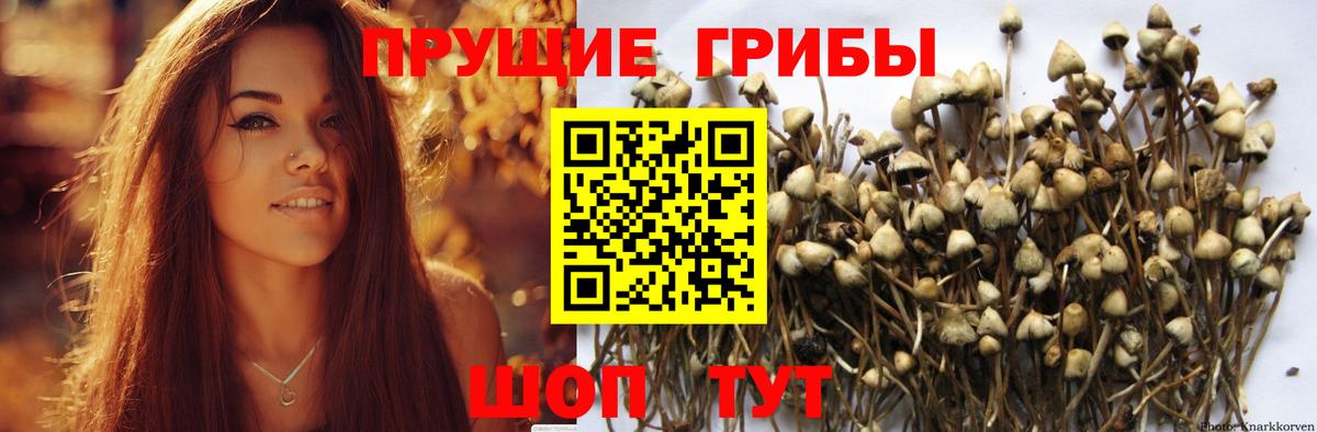Псилоцибиновые грибы Magic Shrooms Бирск